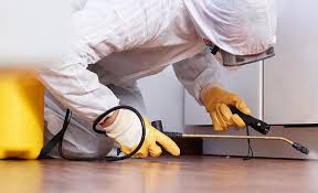 Best Real Estate Pest Inspections  in Womelsdorf, PA